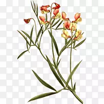 剪贴画露天部分图像png图片插图.苦涩-空若网 剪贴画露天部分图像png图片插图.苦涩-空若网