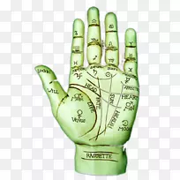 手指手模型手套棒球.手掌读数试验-空若网 手指手模型手套棒球.手掌读数试验-空若网