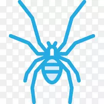 昆虫控制蜘蛛昆虫学蟑螂白蜘蛛它们有毒吗?-空若网 昆虫控制蜘蛛昆虫学蟑螂白蜘蛛它们有毒吗?-空若网