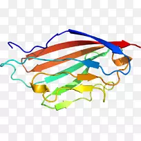 剪贴画线产品点-柯萨奇病毒-空若网 剪贴画线产品点-柯萨奇病毒-空若网