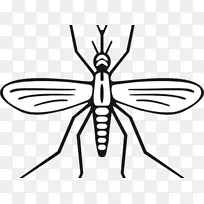 �滭����������ͼ��������������-������