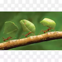 ÂìÒÏÀ¥³æ-ÁéÖ¥ÒÏȺÒϺó-¿ÕÈôÍø ÂìÒÏÀ¥³æ-ÁéÖ¥ÒÏȺÒϺó-¿ÕÈôÍø