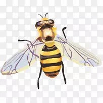 À¥³æÃÛ·ä-¿ÕÈôÍø À¥³æÃÛ·ä-¿ÕÈôÍø