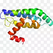 �������߲�Ʒ��ɫS.A����ת¼ø-������