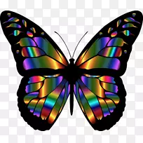 �����������������-����-������