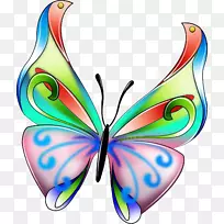 蝴蝶昆虫翅蝶-空若网 蝴蝶昆虫翅蝶-空若网