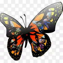 ����ЧӦ����������ۼ���������-������