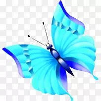 ºûµûÖ½À¥³æ¼ÐÒÕÊõ-ºûµû-¿ÕÈôÍø ºûµûÖ½À¥³æ¼ÐÒÕÊõ-ºûµû-¿ÕÈôÍø