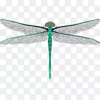 昆虫蜻蜓画蚊夹艺术.蜻蜓-空若网 昆虫蜻蜓画蚊夹艺术.蜻蜓-空若网
