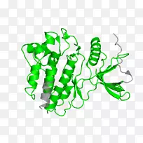 ¼ôÌù»²å»²úÆ·Éè¼ÆÏß-¿ÕÈôÍø ¼ôÌù»²å»²úÆ·Éè¼ÆÏß-¿ÕÈôÍø