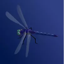 �������Ѽ�����-����-������