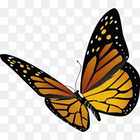 帝王蝴蝶昆虫剪贴画-蜻蜓-空若网 帝王蝴蝶昆虫剪贴画-蜻蜓-空若网