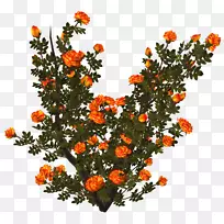 灌木花设计博客形象-花-空若网 灌木花设计博客形象-花-空若网