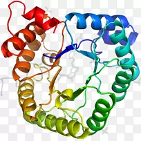 剪贴画有机体线身首饰-空若网 剪贴画有机体线身首饰-空若网