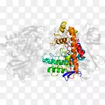 �廭����ʥ��װ��Ʒʥ����-������