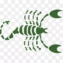 天蝎座,2014年星座-蝎子-空若网 天蝎座,2014年星座-蝎子-空若网