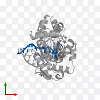 图形产品设计字体线-空若网 图形产品设计字体线-空若网