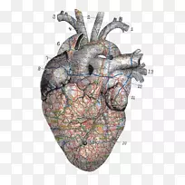 插画心画拼贴-心-空若网 插画心画拼贴-心-空若网