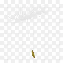 株系植物茎开花植物-空若网 株系植物茎开花植物-空若网