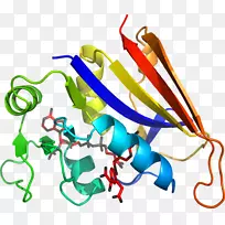 �����������ζ���-������