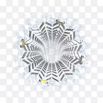 图形蜘蛛网络图解-蜘蛛-空若网 图形蜘蛛网络图解-蜘蛛-空若网