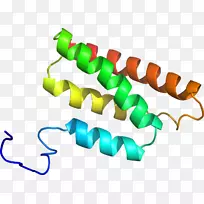 ��������Ʒ�����-������