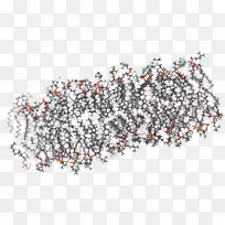 �����ѧ�о�������˴�ѧ-��ѧ-������