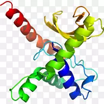 剪贴画有机体线动物-apo-空若网 剪贴画有机体线动物-apo-空若网