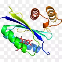 剪贴画有机体线身首饰.泛醌-空若网 剪贴画有机体线身首饰.泛醌-空若网