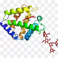 �������߲�Ʒ���л�����-������