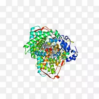 生产线产品点字体特殊奥运区域m线-空若网 生产线产品点字体特殊奥运区域m线-空若网