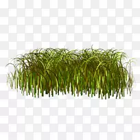 pngͼƬ�ݱ�ֲ�ﻨ��ͼ�������-������