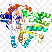 剪贴画有机体线身首饰-谷氨酸-5-半醛-空若网 剪贴画有机体线身首饰-谷氨酸-5-半醛-空若网