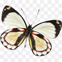 ���������桢���С������-������