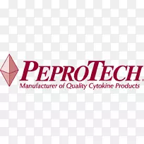 波兰菜谱,标志,波兰菜,食谱,烹饪-空若网 波兰菜谱,标志,波兰菜,食谱,烹饪-空若网