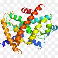 剪贴画线身珠宝人体-空若网 剪贴画线身珠宝人体-空若网
