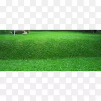 ��Ƥ���ݣ���ƺ�����ᣬ���ӣ����˲�-������