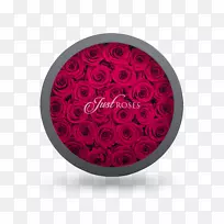 礼物爱情女友生日玫瑰礼物-空若网 礼物爱情女友生日玫瑰礼物-空若网