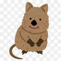 大足动物袋类-大鼠-空若网 大足动物袋类-大鼠-空若网