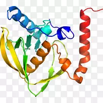 剪贴画线动物-空若网 剪贴画线动物-空若网