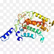 剪贴画有机体线身首饰-空若网 剪贴画有机体线身首饰-空若网