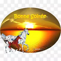 马桌面壁纸图形电脑-马-空若网 马桌面壁纸图形电脑-马-空若网