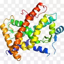 ��������.��������ø����ֳ�Ｄ�������-������