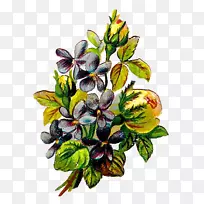 ������ƻ����������廨-������