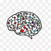 �¿���˹��ѧʥ������·�У�˹������˹��������о����ѧϰ��ѧ-������