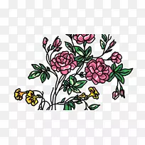 花卉设计切花,植物茎,枝,叶-叶-空若网 花卉设计切花,植物茎,枝,叶-叶-空若网