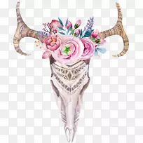 波霍-别致的头骨水彩画摄影-鹿-空若网 波霍-别致的头骨水彩画摄影-鹿-空若网