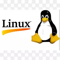 linux从头开始培训lxc操作系统-linux-空若网 linux从头开始培训lxc操作系统-linux-空若网