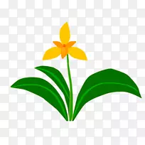 ����ֲ������-������