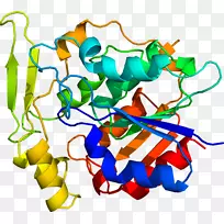 剪贴画线产品点有机体线-空若网 剪贴画线产品点有机体线-空若网